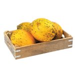 Kırkaağaç Kavunu Kg