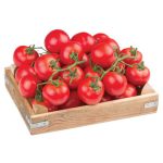 Salkım Domates Kg